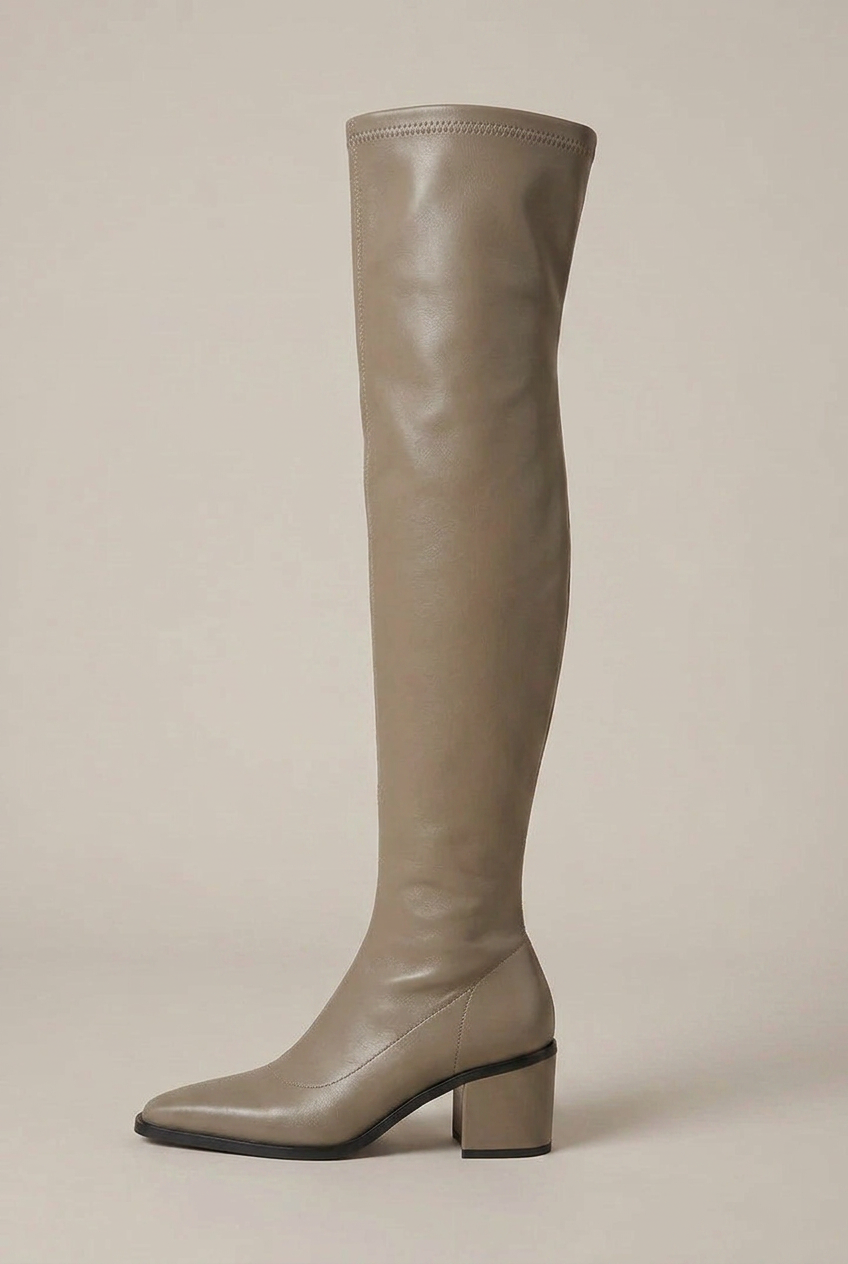 Women's Over-The-Knee Block Heel Boots – Pointed Toe Slip-On Tall Shaft Fashion Boots Luna Body Co