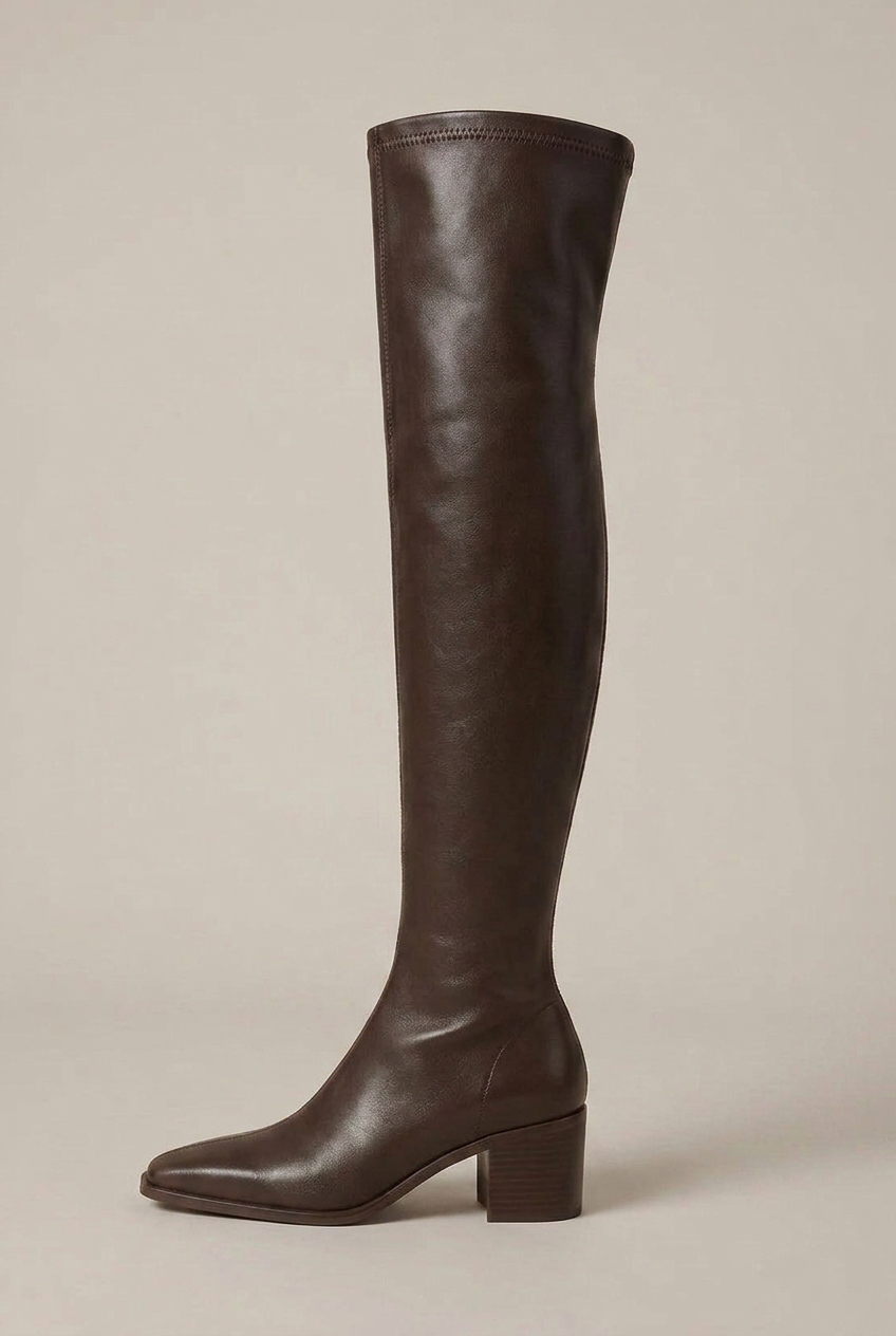 Women's Over-The-Knee Block Heel Boots – Pointed Toe Slip-On Tall Shaft Fashion Boots Luna Body Co