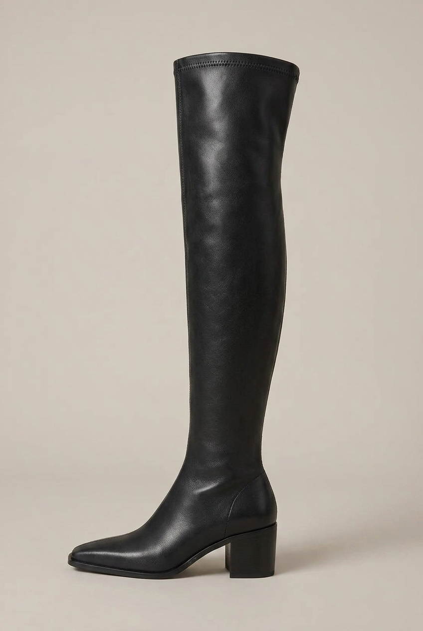 Women's Over-The-Knee Block Heel Boots – Pointed Toe Slip-On Tall Shaft Fashion Boots Luna Body Co